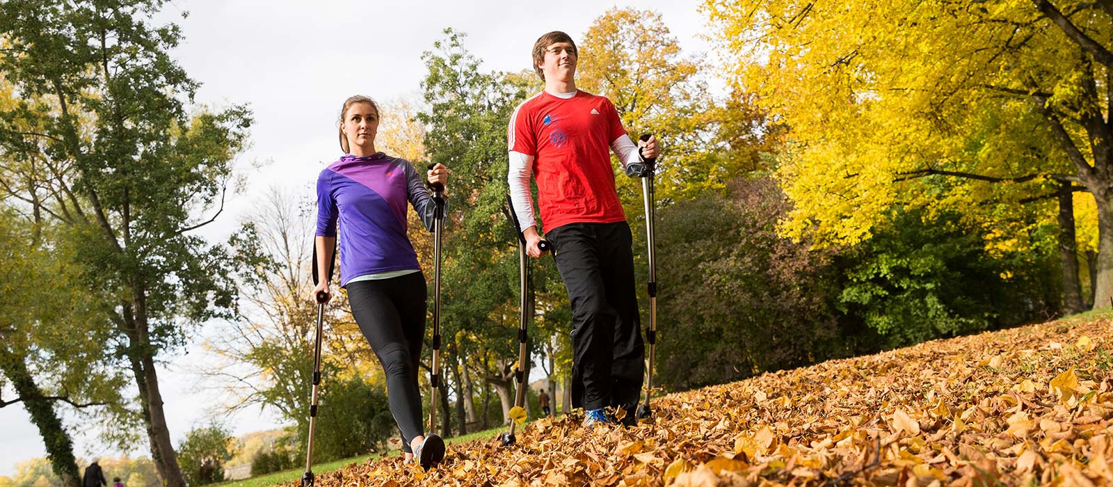 Nordic Cross Training